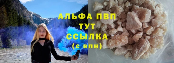 прущие грибы Армянск